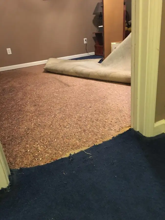 Carpet pad removal revealing water damage during Water Mitigation Services in Woodbury
